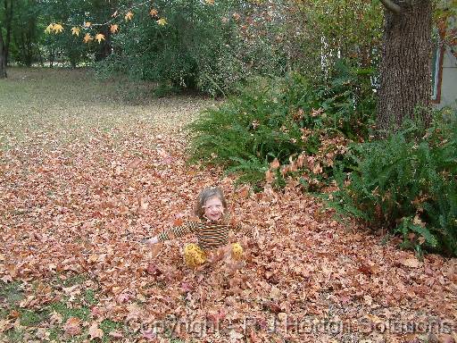 Autumn leaves throwing 